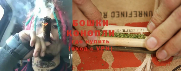 ALPHA PVP Елизово