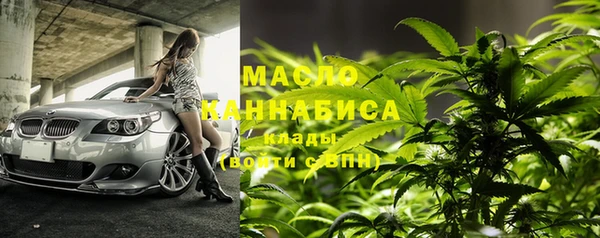 ALPHA PVP Елизово