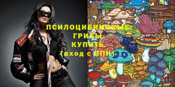 первитин Елабуга
