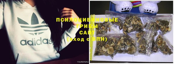 амфетамин Ельня