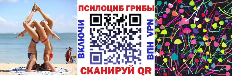 Галлюциногенные грибы GOLDEN TEACHER  Купить где  Заполярный 